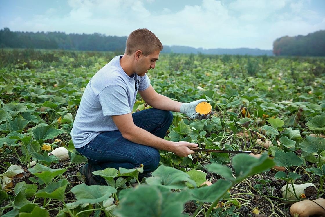 regenerative farming