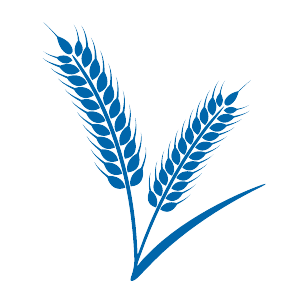 icon oat