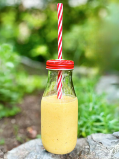 Solgul smoothie Solgul smoothie