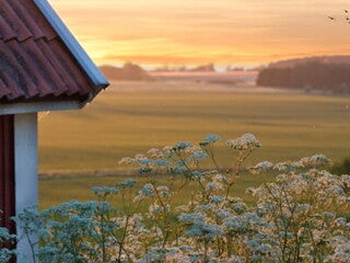 Barnmat på resan - välling