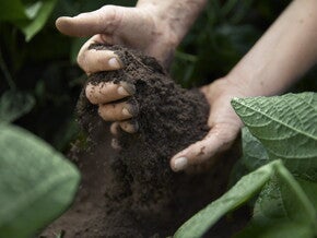 Sustainability_Teaser