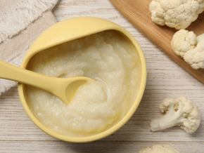 Vegetable puree Vegetable puree