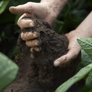 Sustainability_Teaser Sustainability_Teaser