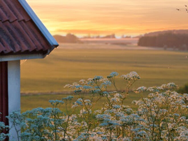 Barnmat på resan - välling