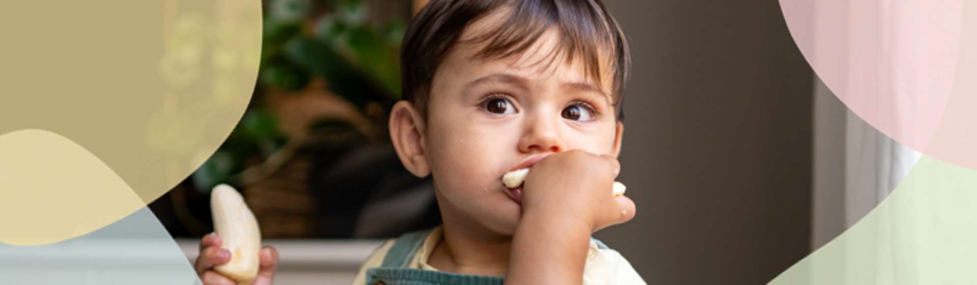 Baby led weaning Baby led weaning