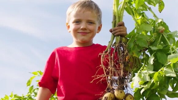 Nestlé barnmatsburkar hållbarhet Nestlé barnmatsburkar hållbarhet