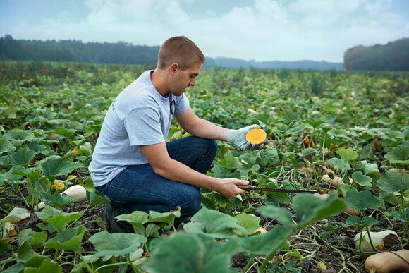 regenerative farming regenerative farming