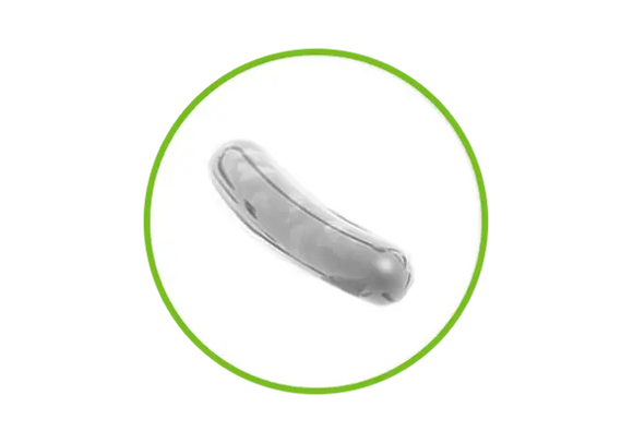Mjölksyrabakterieikon Mjölksyrabakterieikon