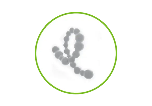 PROTEIN ikon PROTEIN ikon